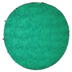 FIBRODISC 50MM Z60 DPV300 25/1