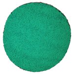 FIBRODISC 50MM Z80 DPV300 25/1